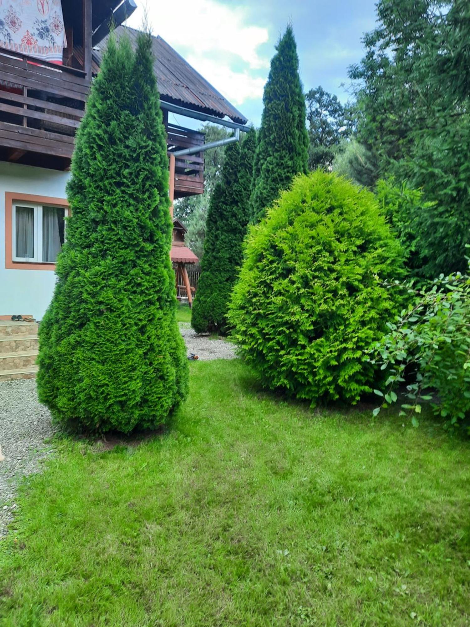 Colt De Rai Villa Bran  Exterior photo